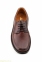 Чоловічі туфлі  SCN CRISPINOS коричневі 0