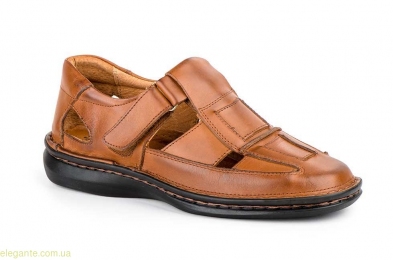 Мужские сандалии CACTUS1 коричневые
